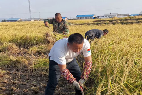 豐收的季節(jié)，到處洋溢著收獲的喜悅